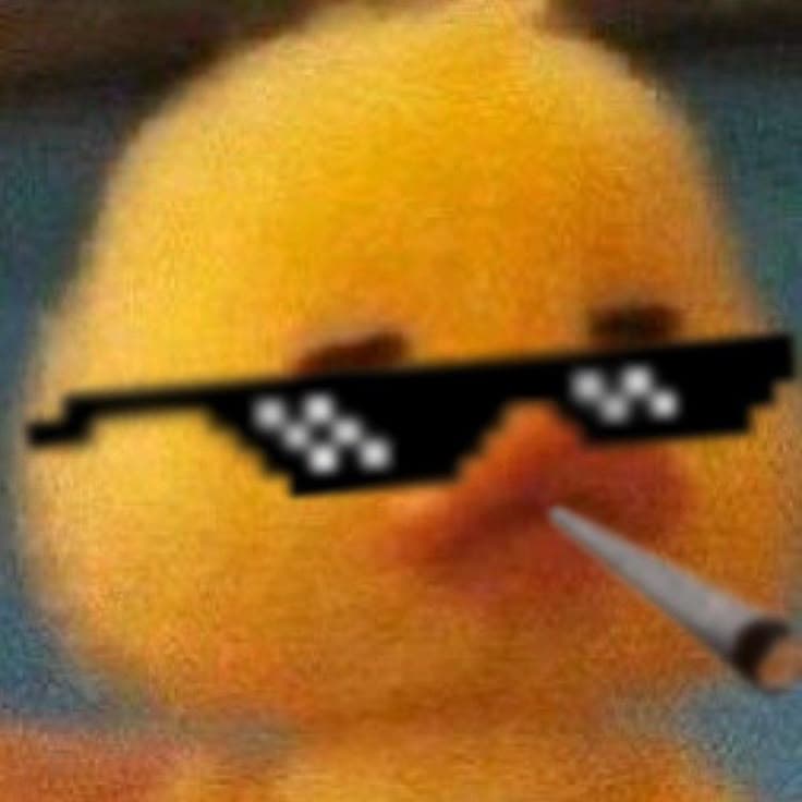 @TheKingOP avatar